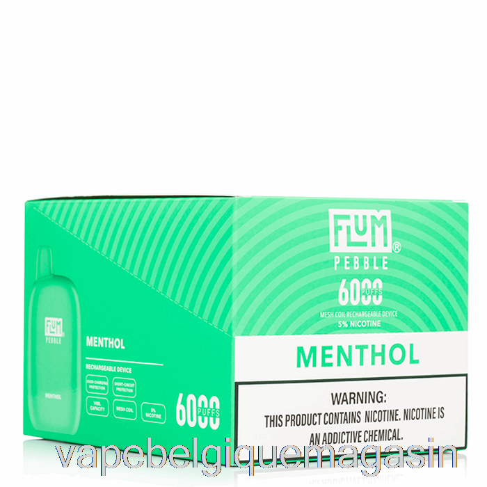 Vape Belgique [10-pack] Flum Pebble 6000 Jetable